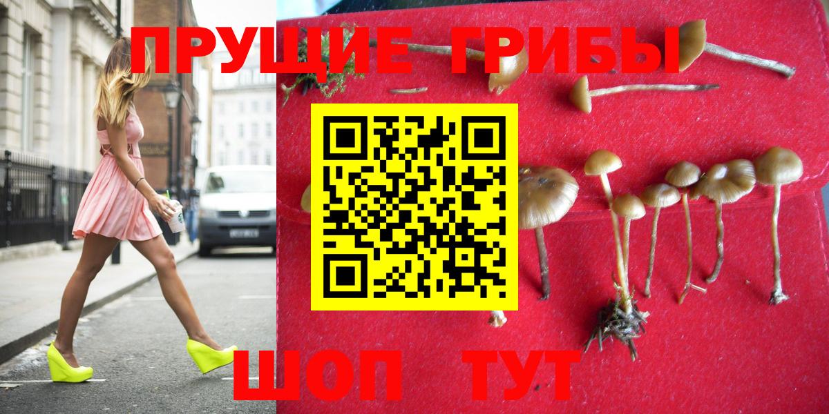 Оренбург  Галлюциногенные грибы прущие грибы  где купить наркотик  Вход с VPN 